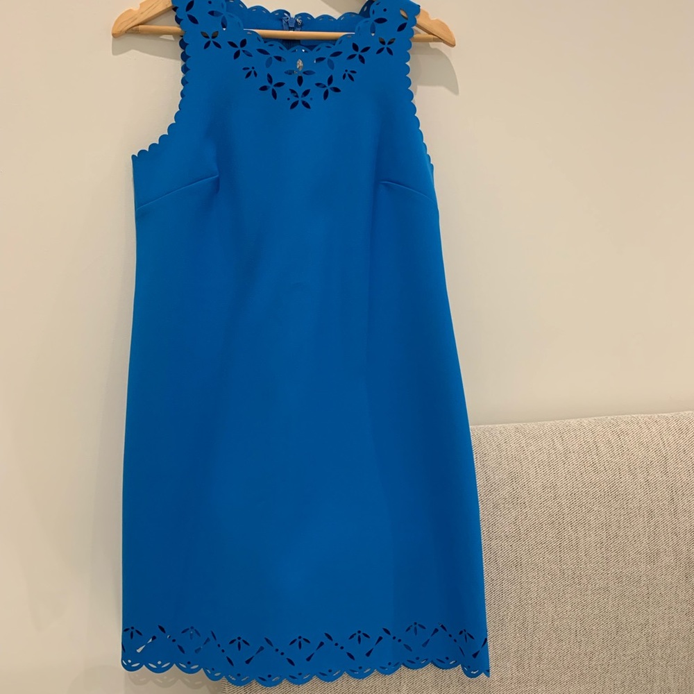 Blue J. Crew dress!